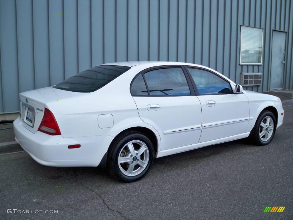 2004 Verona LX - Absolute White / Gray photo #3