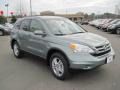 2011 Opal Sage Metallic Honda CR-V EX-L  photo #7