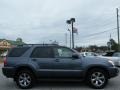 2007 Galactic Gray Mica Toyota 4Runner Limited  photo #6