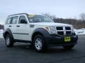 Stone White - Nitro SXT 4x4 Photo No. 9