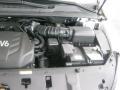 3.5 Liter DOHC 24-Valve V6 Engine for 2011 Kia Sedona EX #42393583