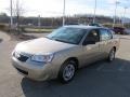 2007 Sandstone Metallic Chevrolet Malibu LS Sedan  photo #5