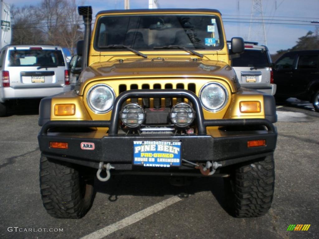 2003 Wrangler Rubicon 4x4 - Inca Gold Metallic / Dark Slate Gray photo #2