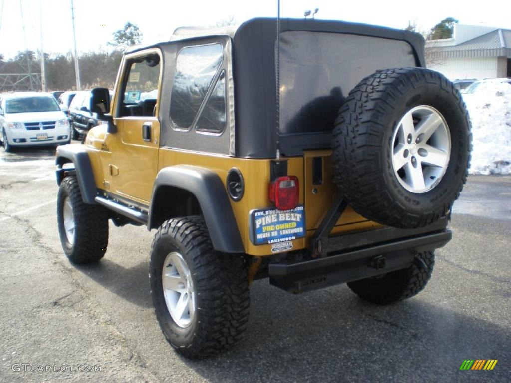 2003 Wrangler Rubicon 4x4 - Inca Gold Metallic / Dark Slate Gray photo #7