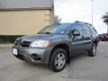 2006 Titanium Gray Pearl Mitsubishi Endeavor LS  photo #3