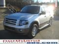 Ingot Silver Metallic - Expedition Limited 4x4 Photo No. 2