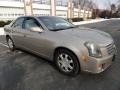 Cashmere - CTS Sedan Photo No. 8
