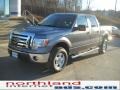 2010 Sterling Grey Metallic Ford F150 XLT SuperCrew 4x4  photo #2