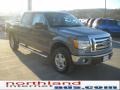 2010 Sterling Grey Metallic Ford F150 XLT SuperCrew 4x4  photo #4