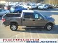 2010 Sterling Grey Metallic Ford F150 XLT SuperCrew 4x4  photo #5