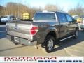 2010 Sterling Grey Metallic Ford F150 XLT SuperCrew 4x4  photo #6
