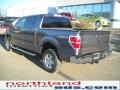 2010 Sterling Grey Metallic Ford F150 XLT SuperCrew 4x4  photo #8