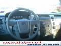 2010 Sterling Grey Metallic Ford F150 XLT SuperCrew 4x4  photo #14