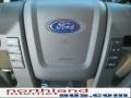 2010 Sterling Grey Metallic Ford F150 XLT SuperCrew 4x4  photo #19