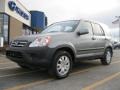 Silver Moss Metallic - CR-V EX 4WD Photo No. 1