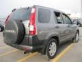 Silver Moss Metallic - CR-V EX 4WD Photo No. 2