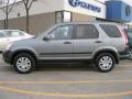 Silver Moss Metallic - CR-V EX 4WD Photo No. 9