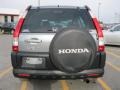 Silver Moss Metallic - CR-V EX 4WD Photo No. 16