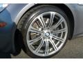 2009 BMW M3 Coupe Wheel and Tire Photo