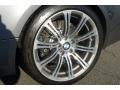 2009 BMW M3 Coupe Wheel and Tire Photo