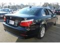 Jet Black - 5 Series 528xi Sedan Photo No. 9