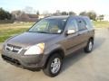 Mojave Mist Metallic - CR-V EX 4WD Photo No. 2