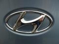 2011 Hyundai Genesis Coupe 2.0T Marks and Logos