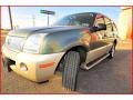 Estate Green Metallic - Mountaineer Convenience AWD Photo No. 1