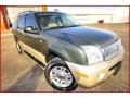 Estate Green Metallic - Mountaineer Convenience AWD Photo No. 10