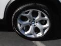 Alpine White - X5 4.8i Photo No. 11