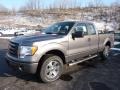 Sterling Grey Metallic 2011 Ford F150 STX SuperCab 4x4 Exterior