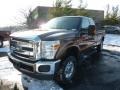 2011 Golden Bronze Metallic Ford F250 Super Duty XLT SuperCab 4x4  photo #5
