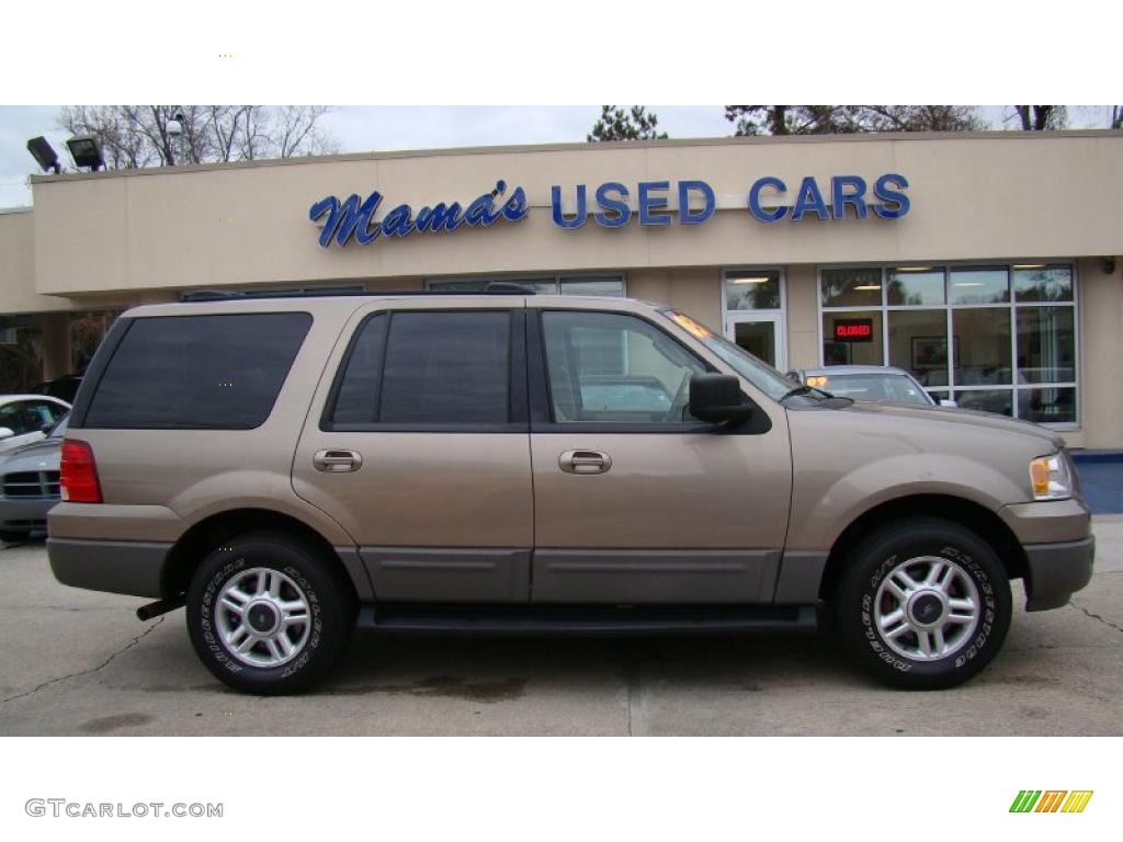 2003 Expedition XLT - Arizona Beige Metallic / Medium Parchment photo #1