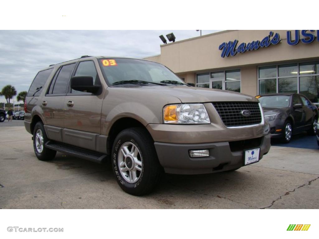 2003 Expedition XLT - Arizona Beige Metallic / Medium Parchment photo #2