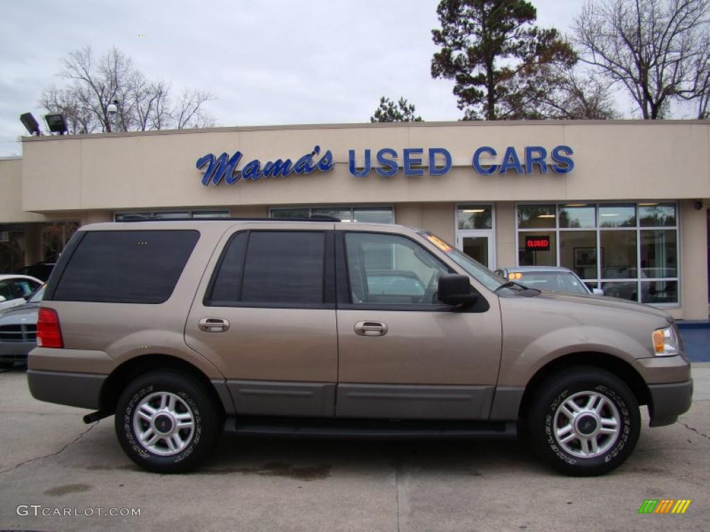 2003 Expedition XLT - Arizona Beige Metallic / Medium Parchment photo #3