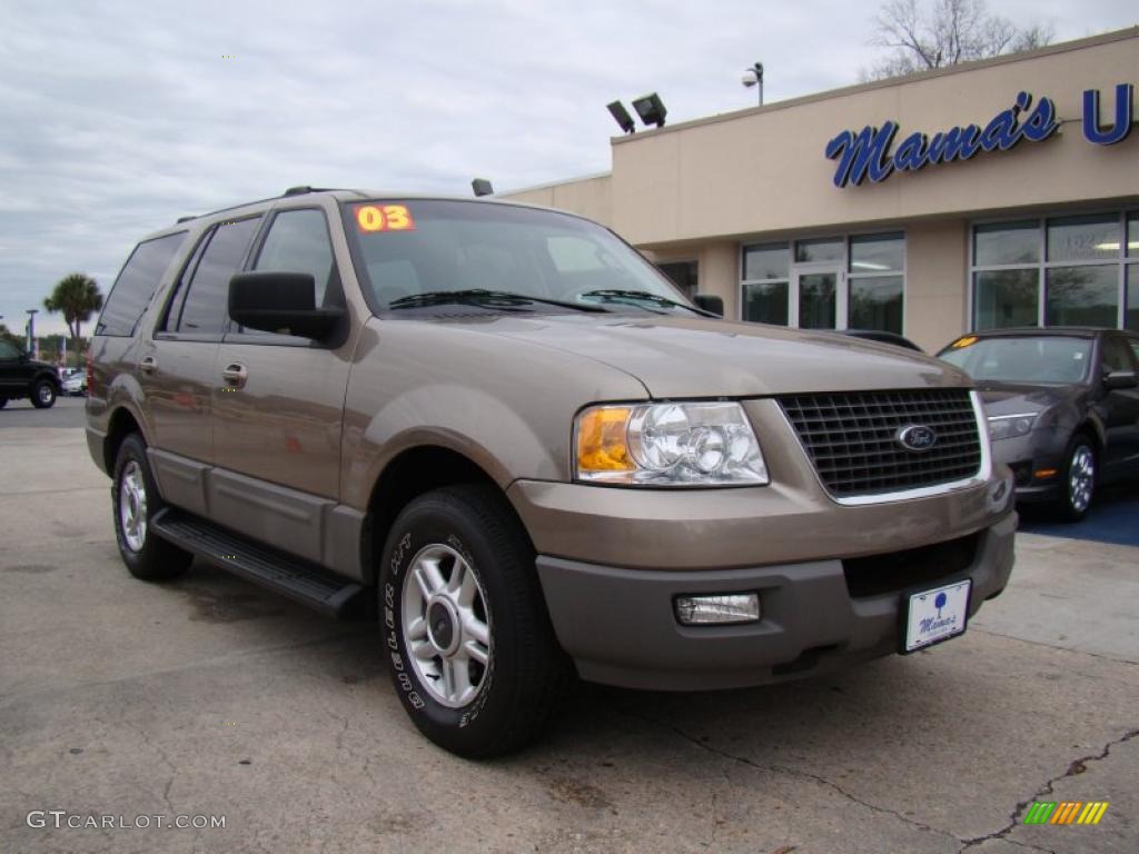 2003 Expedition XLT - Arizona Beige Metallic / Medium Parchment photo #4