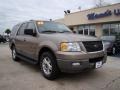 Arizona Beige Metallic - Expedition XLT Photo No. 4