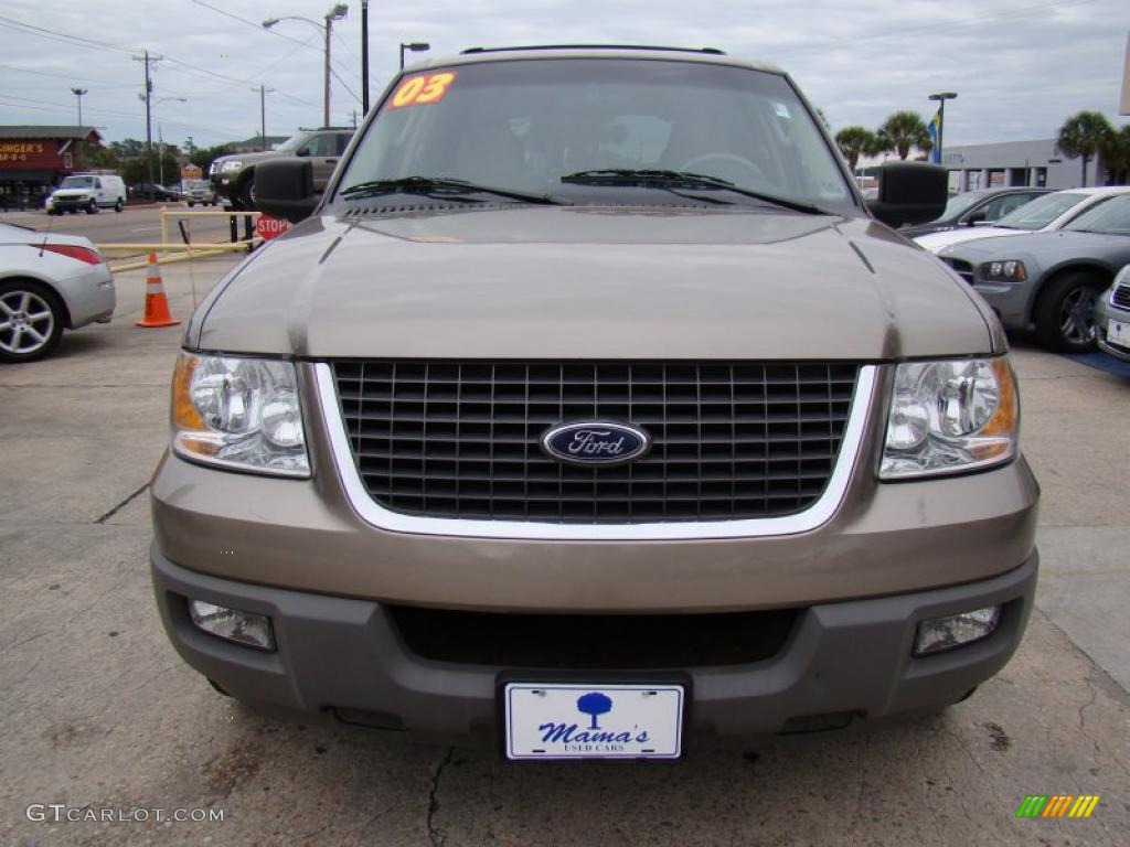 2003 Expedition XLT - Arizona Beige Metallic / Medium Parchment photo #5