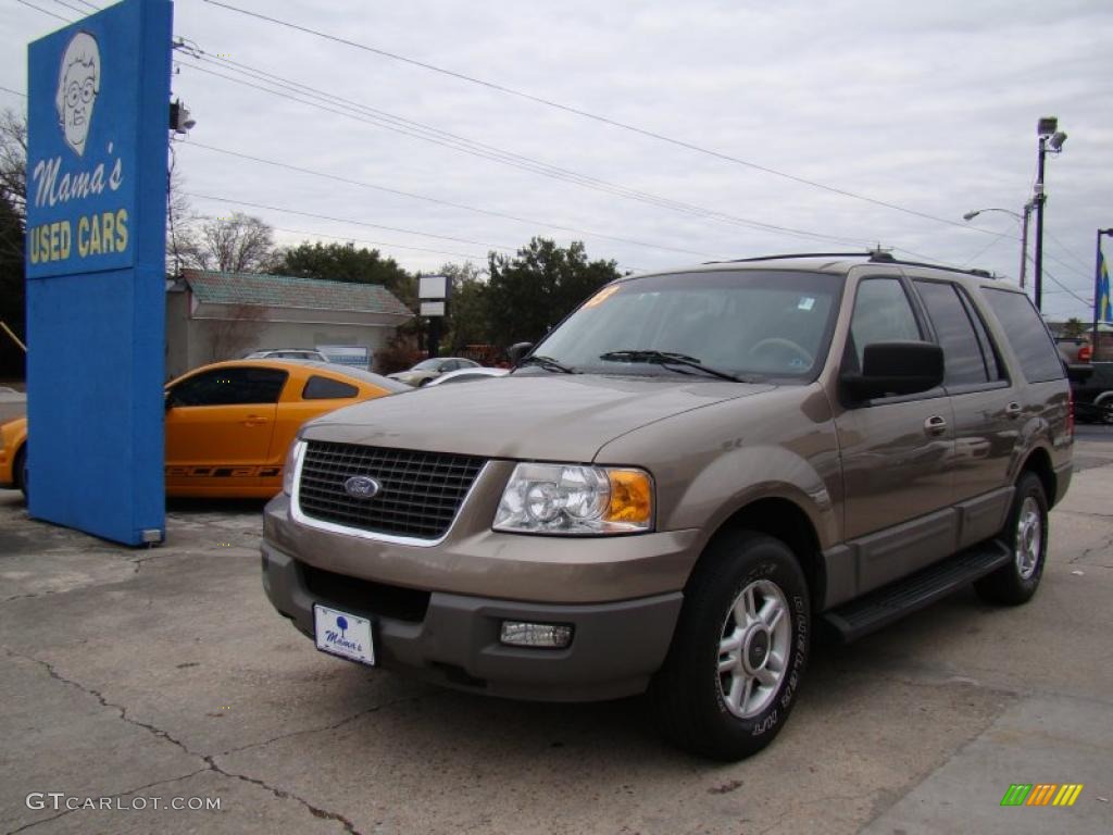 2003 Expedition XLT - Arizona Beige Metallic / Medium Parchment photo #6