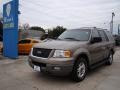 Arizona Beige Metallic - Expedition XLT Photo No. 6