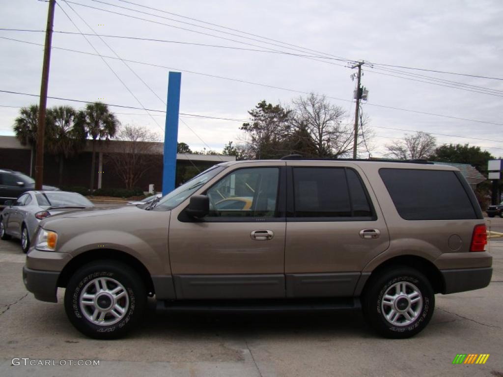2003 Expedition XLT - Arizona Beige Metallic / Medium Parchment photo #7