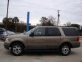 Arizona Beige Metallic - Expedition XLT Photo No. 7