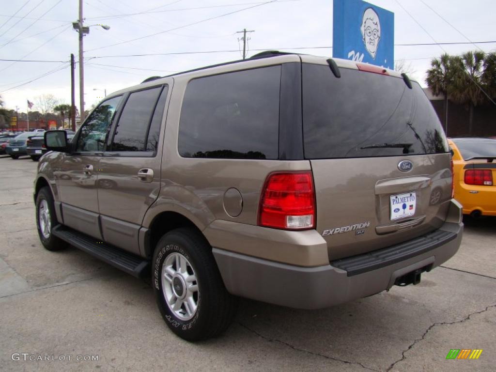 2003 Expedition XLT - Arizona Beige Metallic / Medium Parchment photo #8
