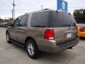 Arizona Beige Metallic - Expedition XLT Photo No. 8