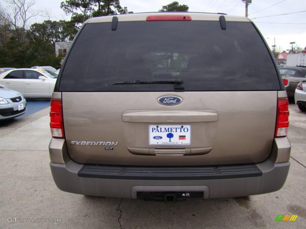 2003 Expedition XLT - Arizona Beige Metallic / Medium Parchment photo #9