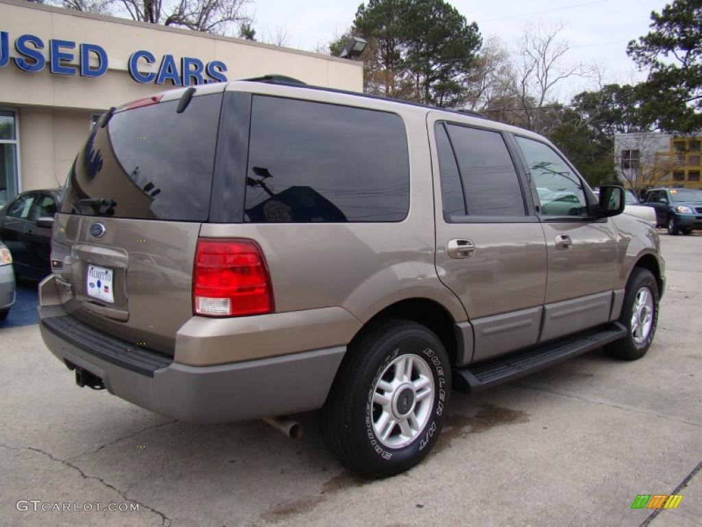 2003 Expedition XLT - Arizona Beige Metallic / Medium Parchment photo #10