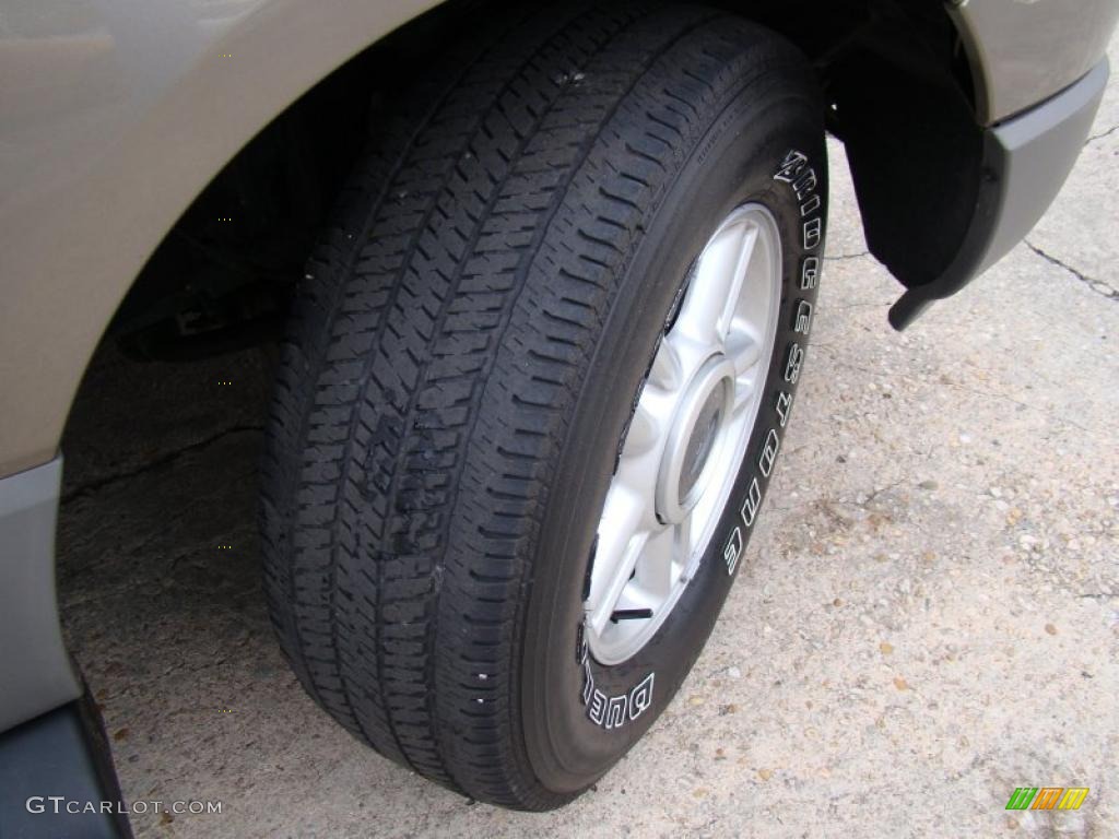 2003 Expedition XLT - Arizona Beige Metallic / Medium Parchment photo #33