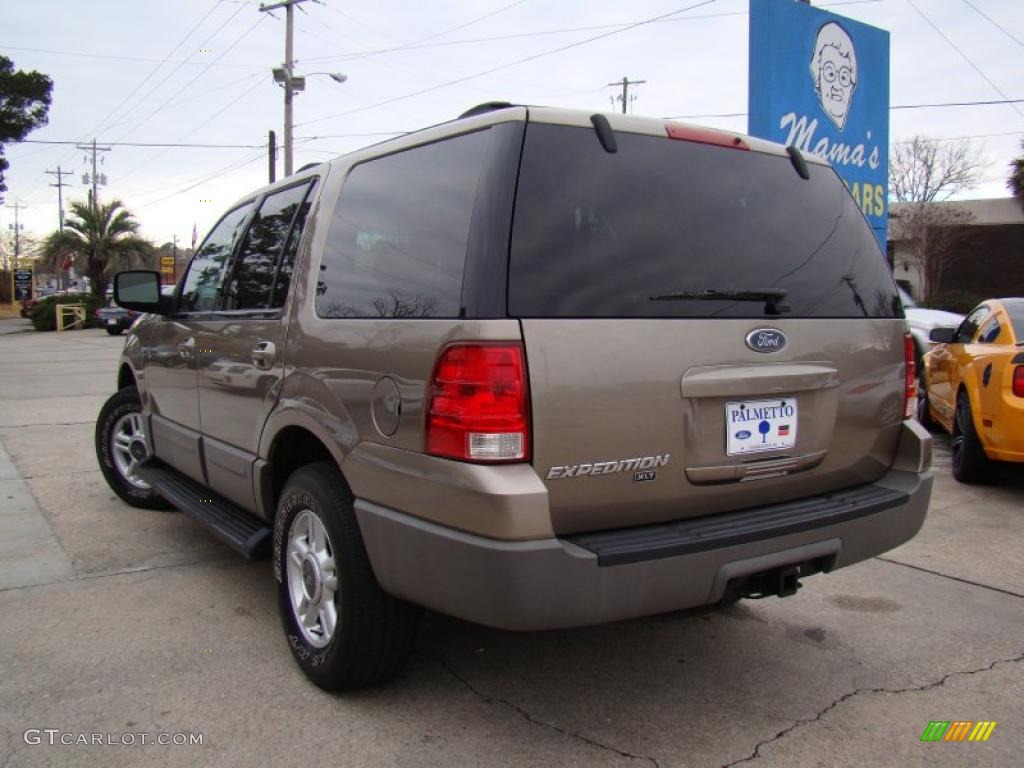 2003 Expedition XLT - Arizona Beige Metallic / Medium Parchment photo #36