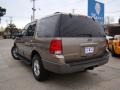 Arizona Beige Metallic - Expedition XLT Photo No. 36