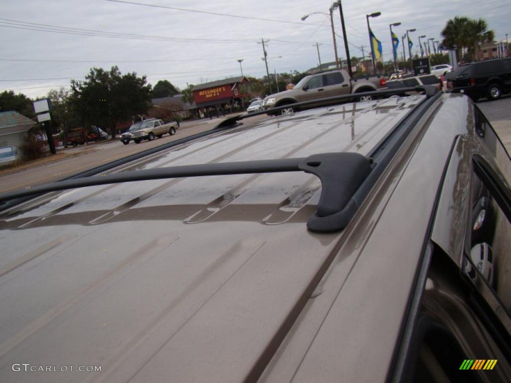 2003 Expedition XLT - Arizona Beige Metallic / Medium Parchment photo #37